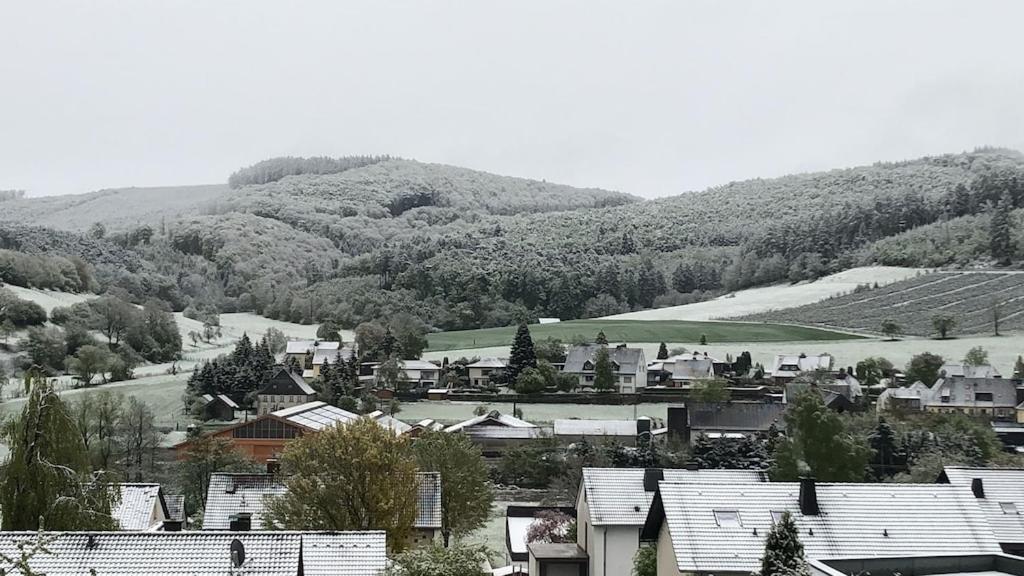 Allendorf Natur Pur Im Schoenen Sauerlandアパートメント エクステリア 写真