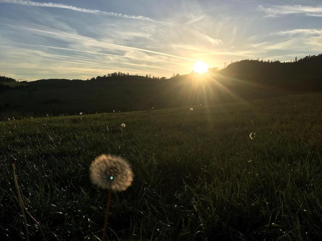 Allendorf Natur Pur Im Schoenen Sauerlandアパートメント エクステリア 写真