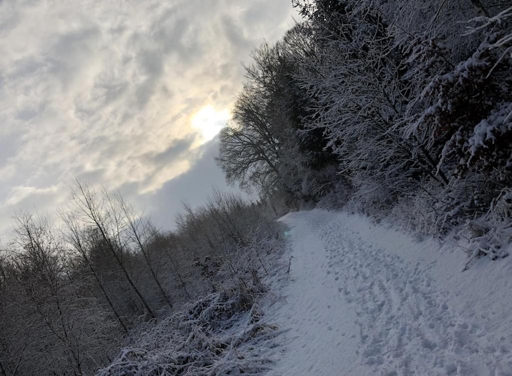 Allendorf Natur Pur Im Schoenen Sauerlandアパートメント エクステリア 写真